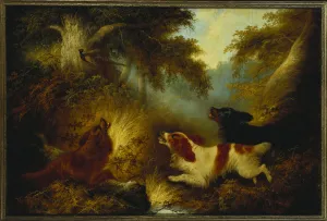 Spaniels putting up a Pheasant (oil on canvas) Spaniels putting up a Pheasant (oil on canvas)
