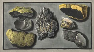 Specimens of volcanic matter found in the crater of Vesuvius, Plate XXXXVI Specimens of volcanic matter found in the crater of Vesuvius, Plate XXXXVI
