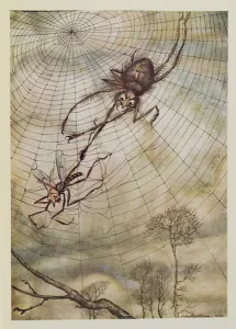 The Spider and the Fly, illustration from Aesop's Fables The Spider and the Fly, illustration from Aesop's Fables