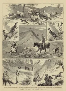 Sport and Work in South Australia (engraving) Sport and Work in South Australia (engraving)