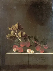 A Sprig of Gooseberries on a Stone Plinth, 1699 (oil on panel) A Sprig of Gooseberries on a Stone Plinth, 1699 (oil on panel)