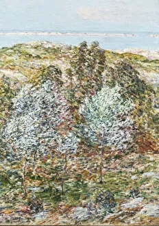 Childe Frederick Hassam Gallery: Springtime Vision, 1900 (oil on canvas)