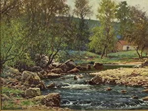 Springtime on the Wyre, Dolphinholme, 1906 (oil on canvas)