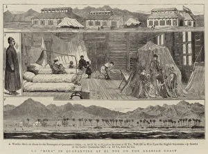 Sea Travel Gallery: SS 'Mira'in Quarantine at El Tor on the Arabian Coast (engraving)