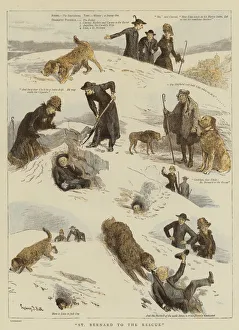 St Bernard Gallery: St Bernard to the Rescue (colour litho)