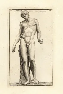 Statue of Antinous, Emperor Hadrian's lover. 1779 (engraving) Statue of Antinous, Emperor Hadrian's lover. 1779 (engraving)