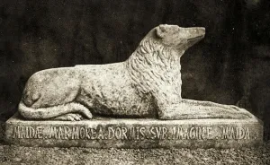 Statue of Maida, reported to be Sir Walter Scott's Favourite Dog. (sepia photo) Statue of Maida, reported to be Sir Walter Scott's Favourite Dog. (sepia photo)