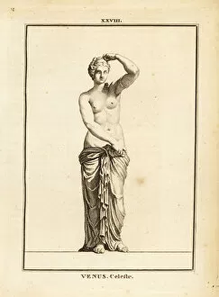 Medailles Gallery: Statue of Venus Celeste, Roman goddess of love, beauty, sex and fertility