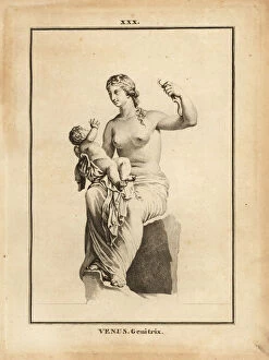Francois Anne David Gallery: Statue of Venus Genetrix, Roman goddess of love, beauty, sex and fertility