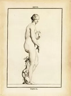 Museum De Florence Gallery: Statue of Venus, Roman goddess of love, beauty, sex and fertility
