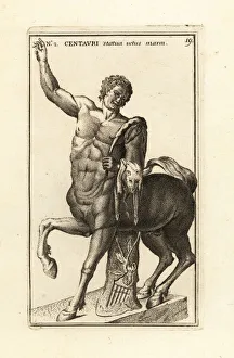 Statue of a young centaur Nessus with pedum and animal pelt. 1779 (engraving) Statue of a young centaur Nessus with pedum and animal pelt. 1779 (engraving)