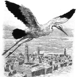 A stork flying over a North African village, 1909 (engraving) A stork flying over a North African village, 1909 (engraving)