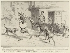 Street Dogs barking at a Dancing Bear and his Keeper in Constantinople (engraving) Street Dogs barking at a Dancing Bear and his Keeper in Constantinople (engraving)