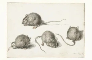 Four studies of a diseased mouse (w/c on paper) Four studies of a diseased mouse (w/c on paper)