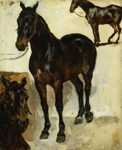 Three Studies of Horses; Trois Etudes de Chevaux, c.1823 (oil on canvas) Three Studies of Horses; Trois Etudes de Chevaux, c.1823 (oil on canvas)