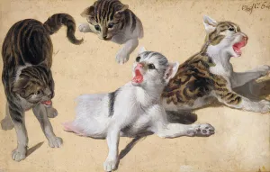 Four Studies of Kittens (oil on light brown paper) Four Studies of Kittens (oil on light brown paper)