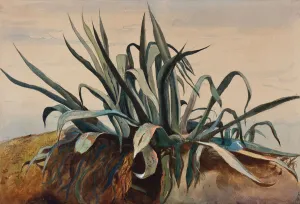 Study of an agave, with additions by a Borbone pupil (pencil, w/c & gouache on paper) Study of an agave, with additions by a Borbone pupil (pencil, w/c & gouache on paper)