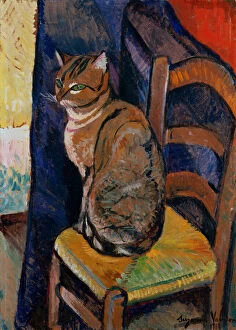 Study of a Cat Sitting on a Chair; Etude d'un Chat, Assis sur une Chaise