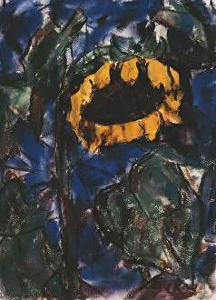 Sunflower; Sonnenblume, (watercolour on paper) Sunflower; Sonnenblume, (watercolour on paper)