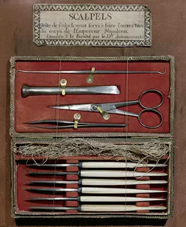 Surgical instruments used by Doctor Antommarchi for the dissection of Emperor Napoleon I