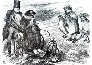 The suspension of grouse The suspension of grouse