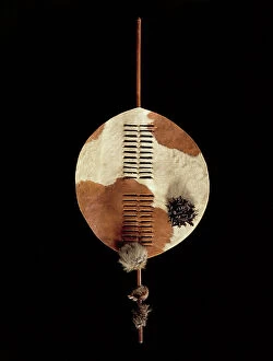 Related Images Collection: Swazi Shield, c.1870 (hide, lion fur, feathers & wood)