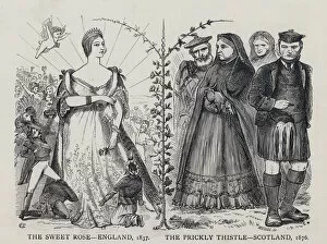 The Sweet Rose - England, 1837: the Prickly Thistle, Scotland, 1876 (engraving)