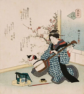 Te-ike no hana Hand-picked flower, a term used to refer to a geisha or