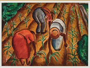 Thinning Corn, 1934 (oil on canvas) Thinning Corn, 1934 (oil on canvas)