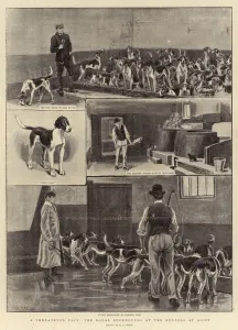 A Threatened Pack, the Royal Buckhounds at the Kennels at Ascot (litho) A Threatened Pack, the Royal Buckhounds at the Kennels at Ascot (litho)