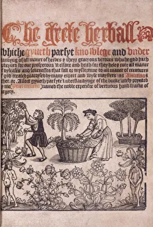 Title page illustrating a garden scene with figures, 1529 Title page illustrating a garden scene with figures, 1529