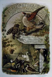 Title page of Natural History of Birds that nest in Lombardy Title page of Natural History of Birds that nest in Lombardy
