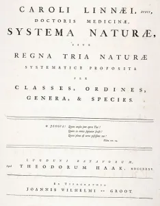 Title page from Systema naturae, 1735 (printed in on paper) Title page from Systema naturae, 1735 (printed in on paper)