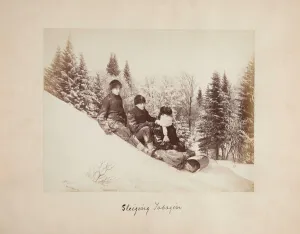 Three Tobogganers on a Snowy Hill, 1873 (albumen print) Three Tobogganers on a Snowy Hill, 1873 (albumen print)