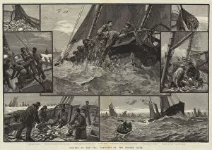 Toilers of the Sea, trawling on the Dogger Bank (engraving)