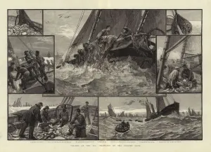 Toilers of the sea trawling on the Dogger Bank (engraving) Toilers of the sea trawling on the Dogger Bank (engraving)