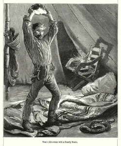 Tom's Adventure with a Deadly Snake (engraving) Tom's Adventure with a Deadly Snake (engraving)