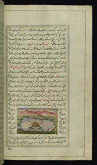 A tortoise carries a scorpion on its back across a river from Lights of Canopus A tortoise carries a scorpion on its back across a river from Lights of Canopus