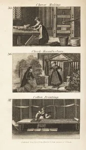 Trades in Regency England: Cheese making, check manufacture and cotton printing Trades in Regency England: Cheese making, check manufacture and cotton printing