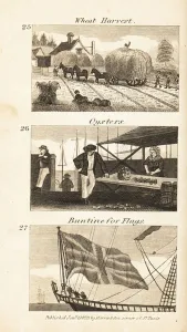 Sudbury Gallery: Trades in Regency England: wheat harvest, oysters and buntine for flags
