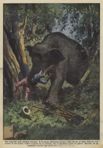 A tragedy in the African jungle (colour litho) A tragedy in the African jungle (colour litho)
