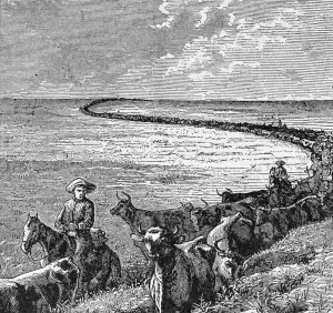 A Trail in the Great Plains, illustration from Harpers Weekly, 1874 A Trail in the Great Plains, illustration from Harpers Weekly, 1874