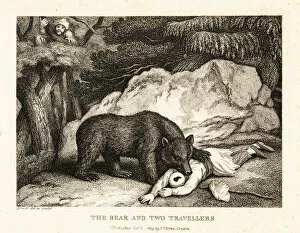A traveller in turban plays dead while attacked by a bear. 1811 (etching)