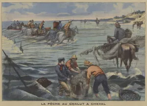 Trawling for fish using horses (colour litho) Trawling for fish using horses (colour litho)