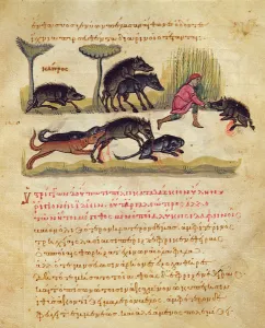 Treatise on the boar: life, mating, hunting, illustration from the Cynegetica' Treatise on the boar: life, mating, hunting, illustration from the Cynegetica'