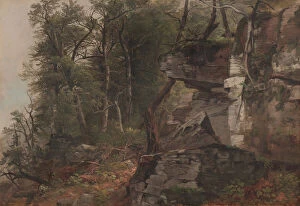 Images Dated 13th November 2012: Trees on a Rocky Hillside, c.1849 (oil on canvas)