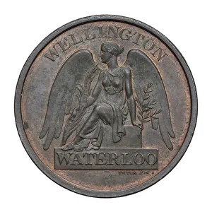 Trial pattern for the Waterloo Medal, 1815 (bronze) Trial pattern for the Waterloo Medal, 1815 (bronze)