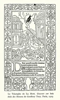 Corpses Gallery: Triumph of Death (woodcut)