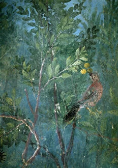 Wall Painting Collection: Trompe l oeil garden from the Villa of Livia, 40-20 BC (fresco)