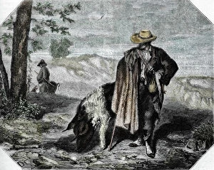 Huntsman Collection: The Truffle Seeker and His Pig, 19th century (colour engraving)